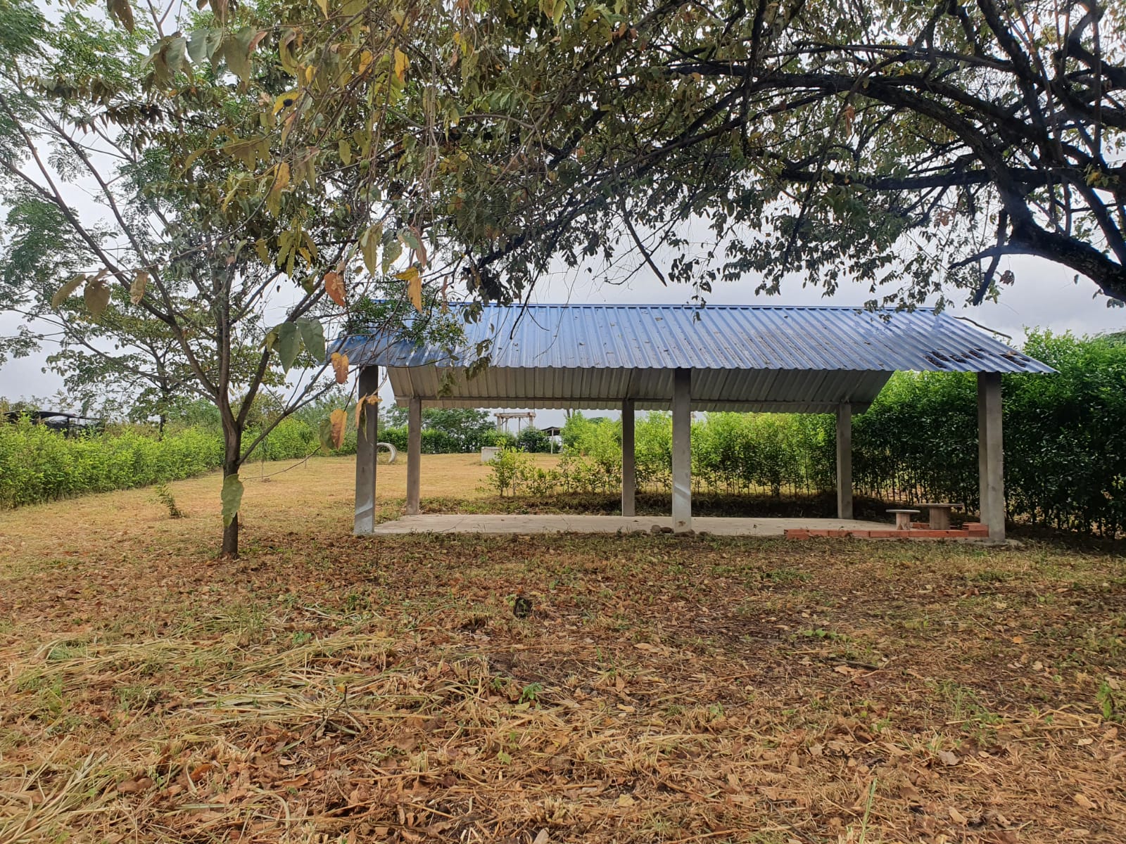 Lote en vía Juncal – Yaguara