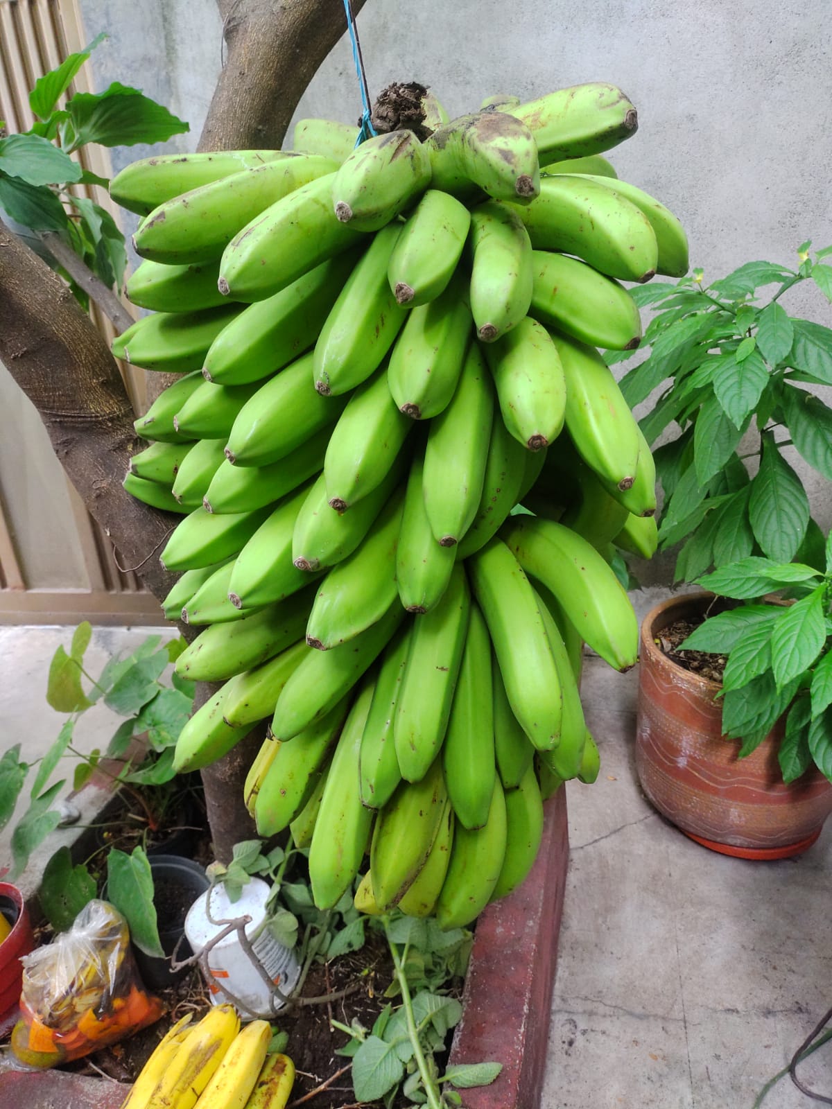 Lote en venta, Bruselas, via Cabañitas